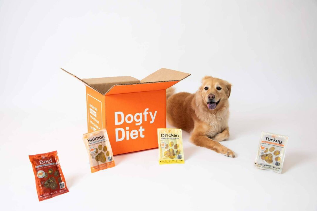 Dogfy Diet ofrece dietas frescas y equilibradas para perros, entregadas a domicilio