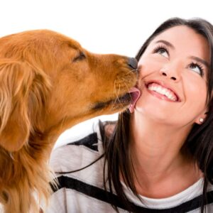 Vacaciones sin preocupaciones; disfrutar del descanso dejando a las mascotas en buenas manos
