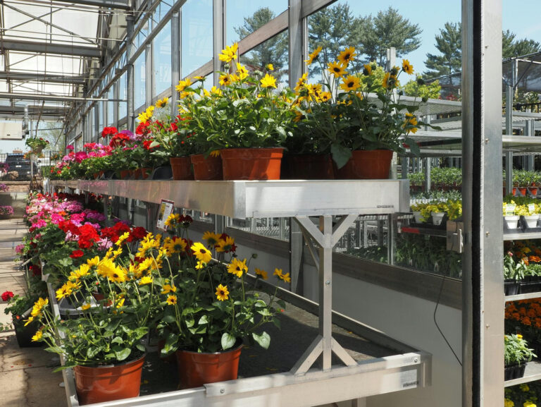 Dar vida al jardín: el objetivo de Promesse de Fleurs desde 1954