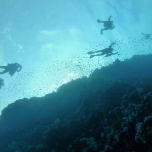 Orizontes.com; experiencias de viaje inolvidables para los más exigentes