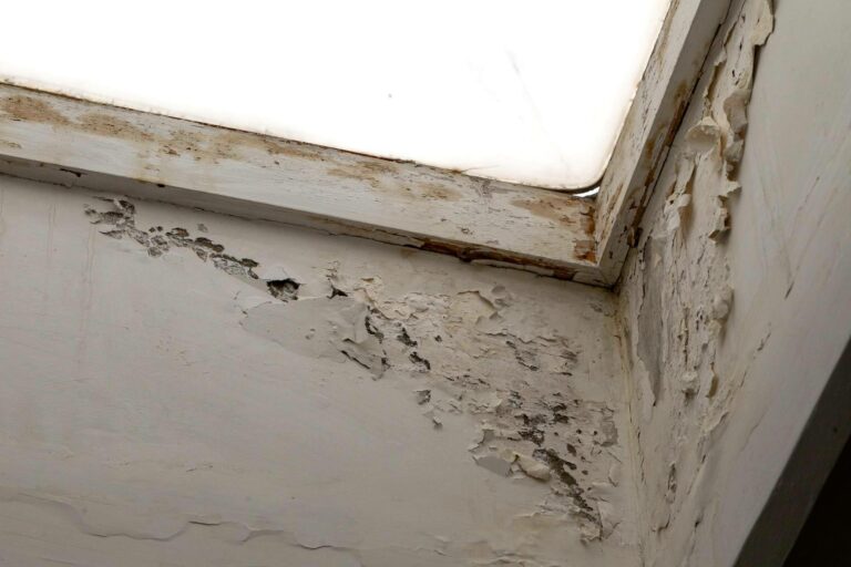 HumiX protege el patrimonio histórico frente a su peor enemigo; la humedad