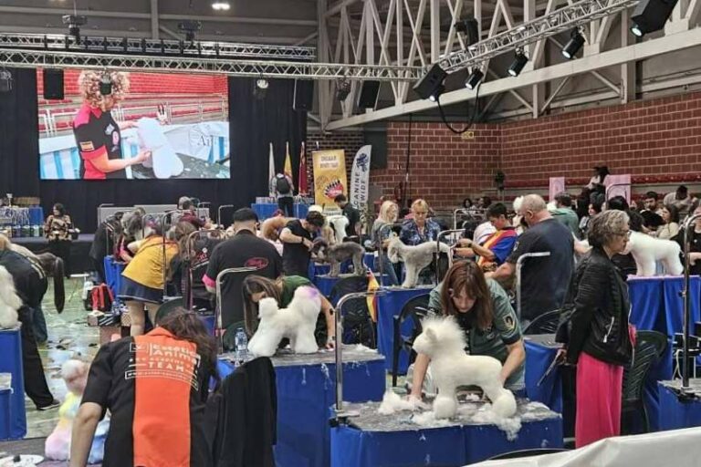 Murcia será sede del estilismo canino más top del mundo este octubre