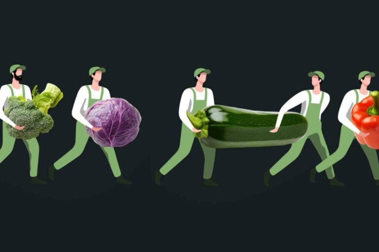 Mercado La Terminal Online revoluciona la compra de frutas y verduras frescas en Guatemala con entrega a domicilio