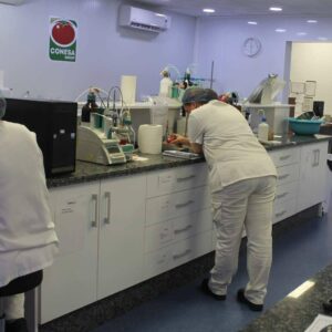 Lycolé apuesta por el licopeno extremeño, un activo reconocido por su calidad excepcional