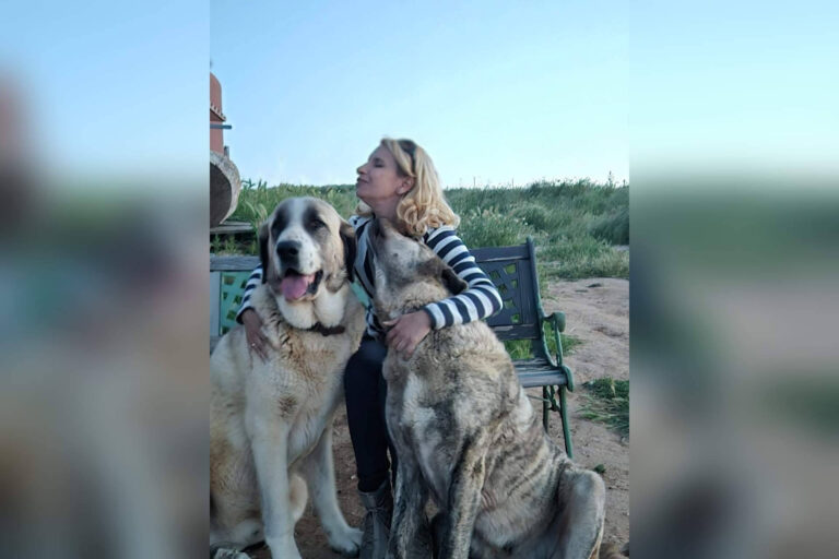 Referentes en adiestramiento canino en Madrid; la experiencia de Cole de Canes