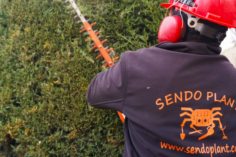 Sendo Plant; más de 35 años creando jardines sostenibles y duraderos en Barcelona