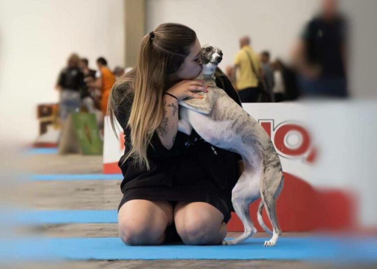 Copa de Criadores 2025; Ética, genética y bienestar en la elección del mejor perro del año