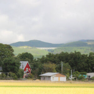 Teletrabajo y nueva movilidad; el campo gana talento