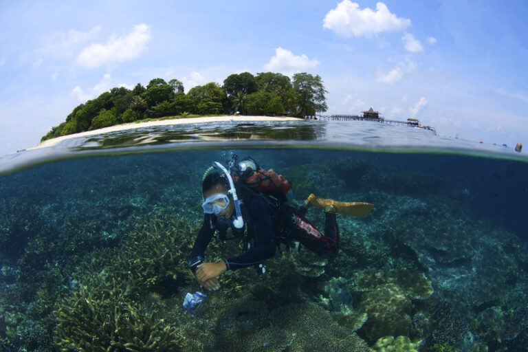 BORNEO; El lujo silvestre de Sabah, corazón de una isla mágica