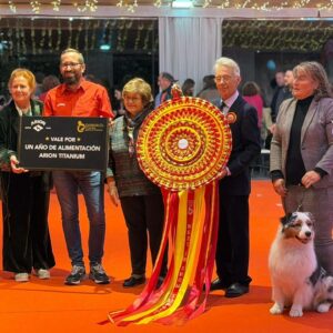 La Primera Copa de Criadores 2025 celebra una edición histórica y premia al pastor australiano Once in a Life Time de La Noval