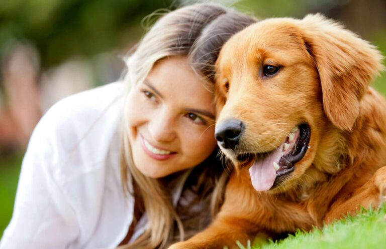 Mascotas Dama refuerza su presencia como referencia en cuidado y productos para animales