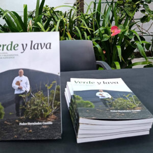 'Verde y Lava', el nuevo libro que apuesta por una cocina inclusiva y libre de alérgenos