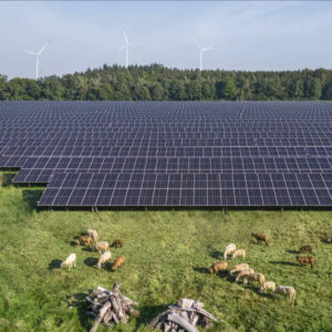 Gestión de activos renovables en tiempos de incertidumbre, el enfoque analítico de BayWa r.e.