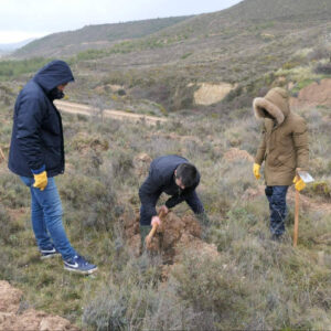 Empresas que reforestan; CO2 Gestión desarrolla proyectos de absorción de carbono mediante bosques corporativos