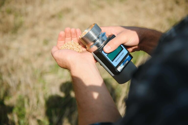 Por qué el medir la humedad en granos es un estándar técnico en la agroindustria moderna