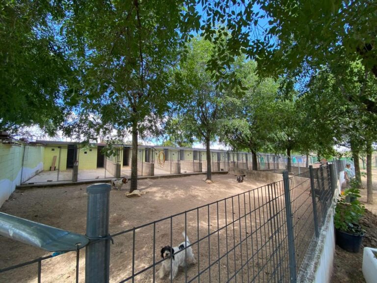 Granja La Luna, la alternativa segura y profesional para dejar a las mascotas