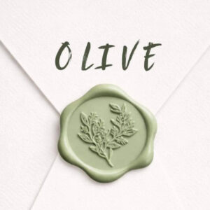 Invitaciones Boda Digitales revoluciona el sector de las bodas con su editor en vivo