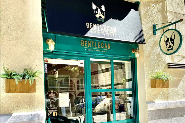 Gentlecan resalta como peluquería canina en Madrid por su enfoque en estilismo y atención individualizada
