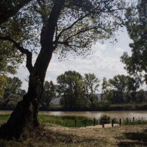 Razones para una escapada rural de primavera