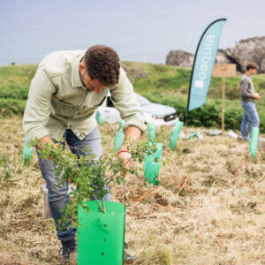 La plantación se detiene, pero la estrategia continúa