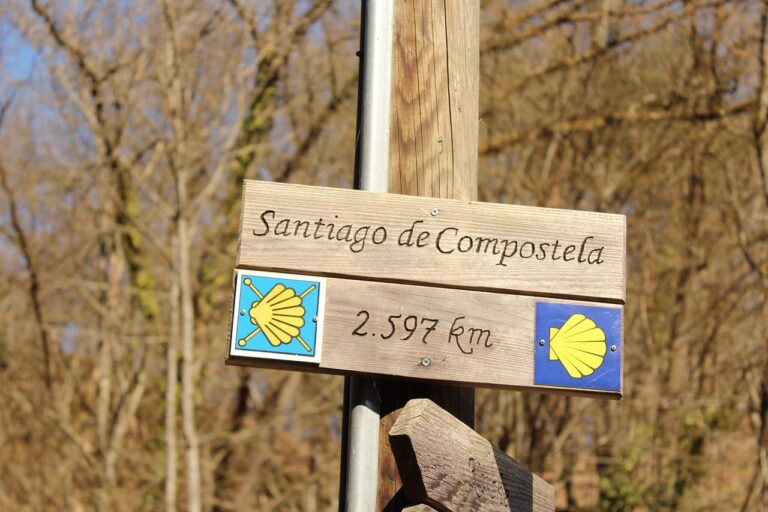 El Camino de Santiago en bicicleta con Orbis Ways: una aventura sin preocupaciones