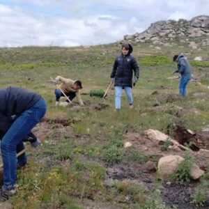 CO2 GESTIÓN, FOXY, y Fundación Alcoraz consolidan su compromiso ambiental con un nuevo bosque en Galicia