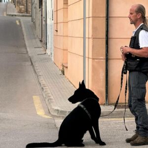 El impacto de internet y las redes sociales en la resolución de problemas de comportamiento en perros