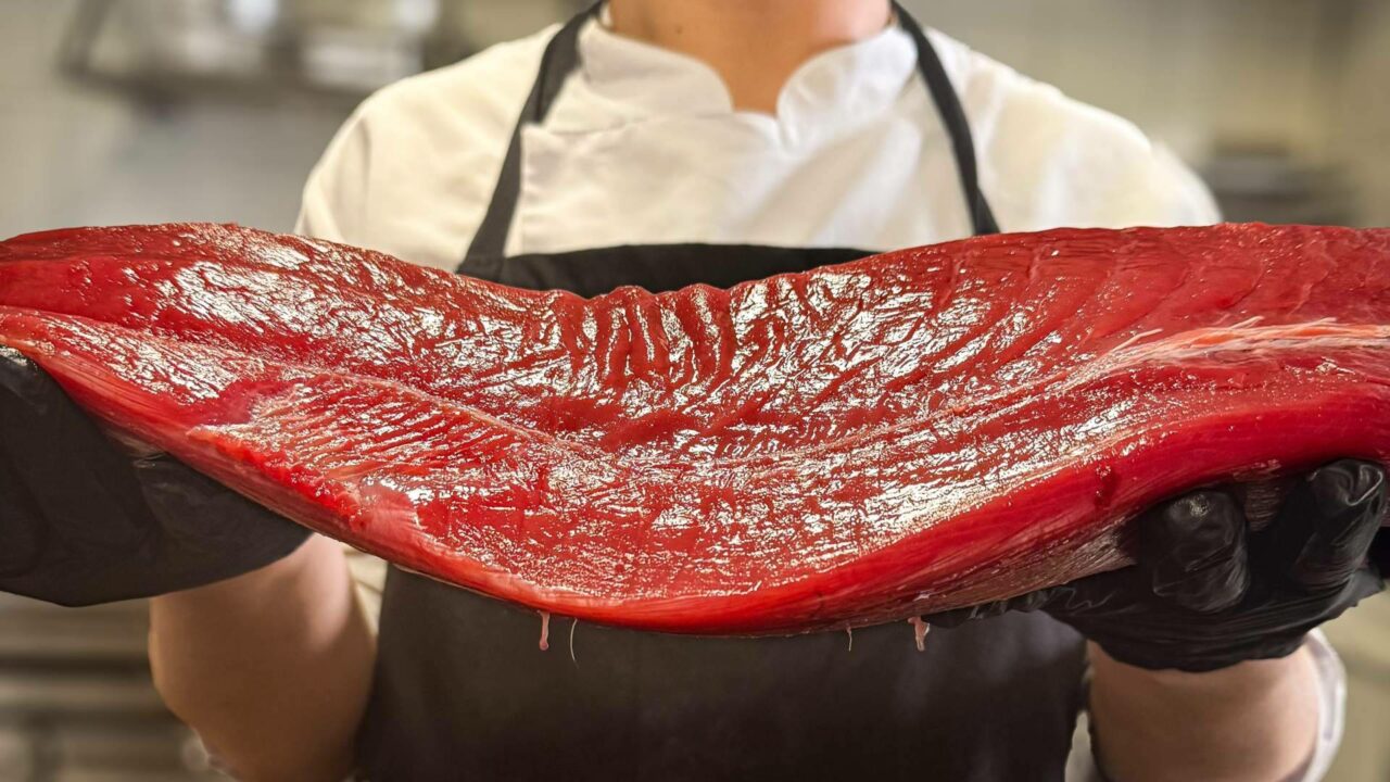 Archivo transforma los sabores de Cádiz en una experiencia gastronómica actual