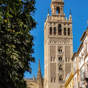 La Catedral de Sevilla lanza un canal digital con misas, conciertos y partituras descargables