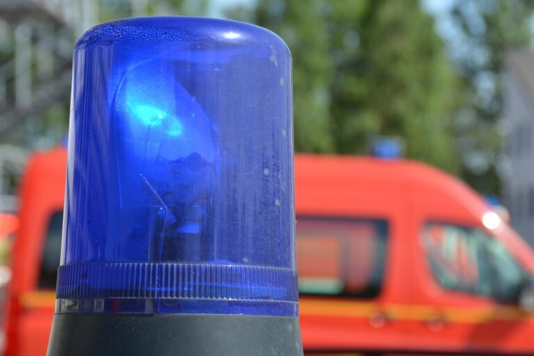 La instructora descarta el homicidio doloso en la muerte por un puñetazo en Los Remedios