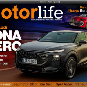 Coches con etiqueta CERO; Los enchufados
