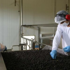 André Pedroso y Pedro Artur impulsan el crecimiento de Casa do Açaí hacia nuevos mercados europeos
