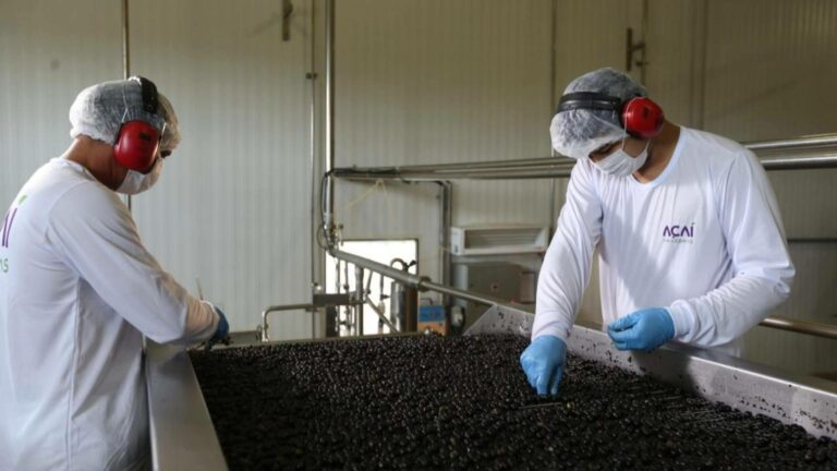 André Pedroso y Pedro Artur impulsan el crecimiento de Casa do Açaí hacia nuevos mercados europeos