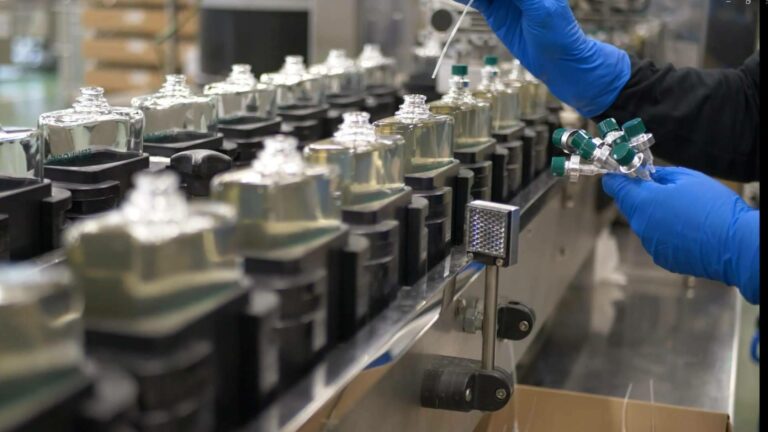 El éxito y el futuro de Briseis avalan la solidez del modelo de empresa familiar