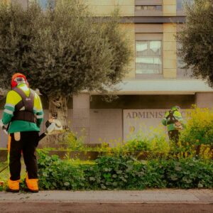 Mairena del Aljarafe pone en marcha un nuevo servicio de jardinería con 2,05 millones de inversión