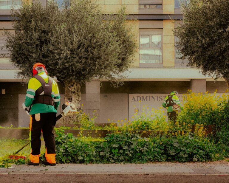 Mairena del Aljarafe pone en marcha un nuevo servicio de jardinería con 2,05 millones de inversión