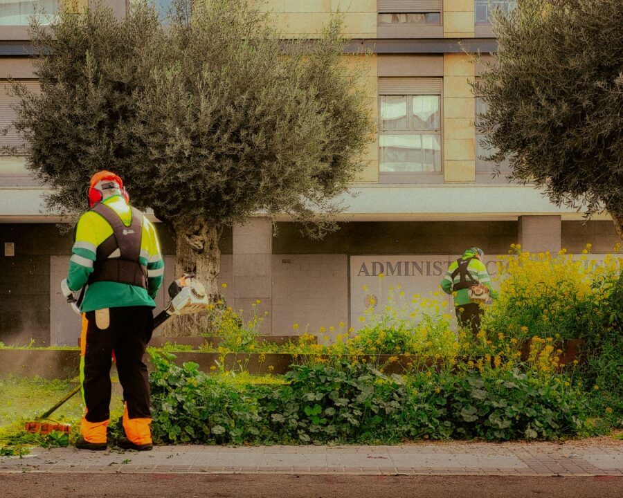 Mairena del Aljarafe pone en marcha un nuevo servicio de jardinería con 2,05 millones de inversión