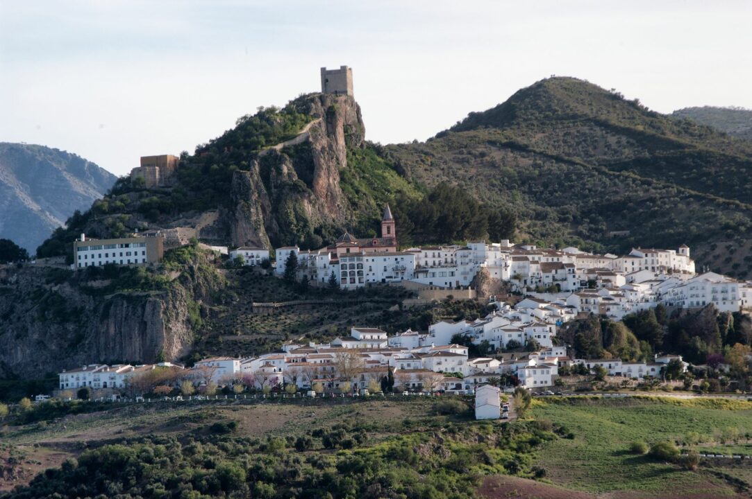 Ecologistas piden a la Junta un centro de fauna amenazada en la Sierra de Cádiz