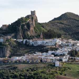 Ecologistas piden a la Junta un centro de fauna amenazada en la Sierra de Cádiz