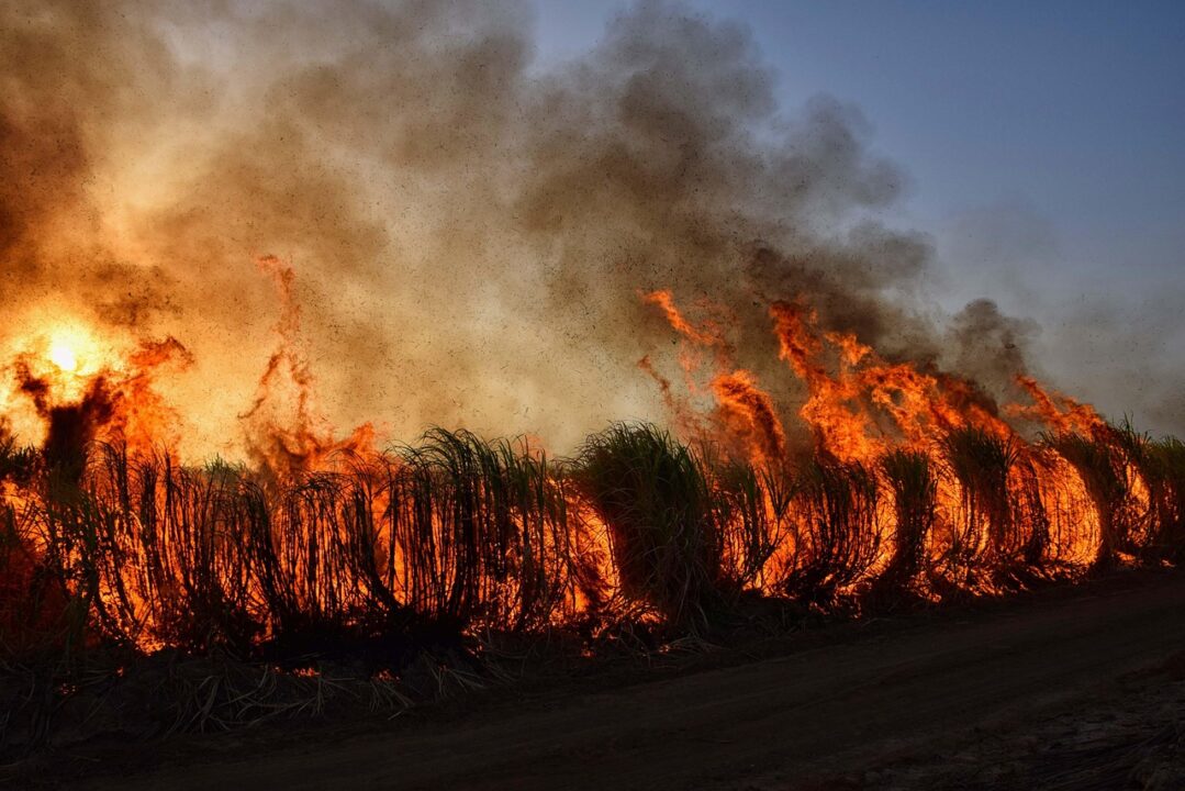 El incendio de Niebla crea una atmósfera que complica al máximo su extinción