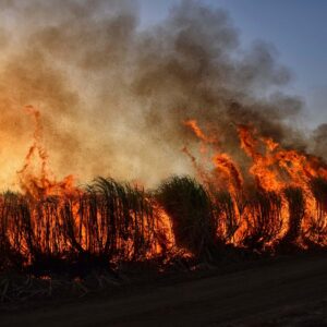 El incendio de Niebla crea una atmósfera que complica al máximo su extinción