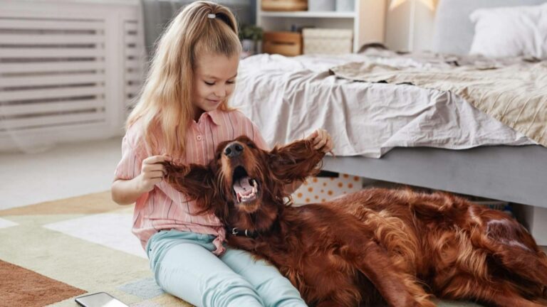 Adiós a las vacaciones; los errores que cometemos al volver a casa con una mascota