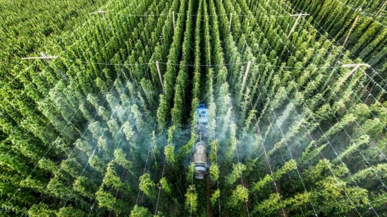 El diseño hidrodinámico optimiza el rendimiento de los sistemas de riego agrícolas
