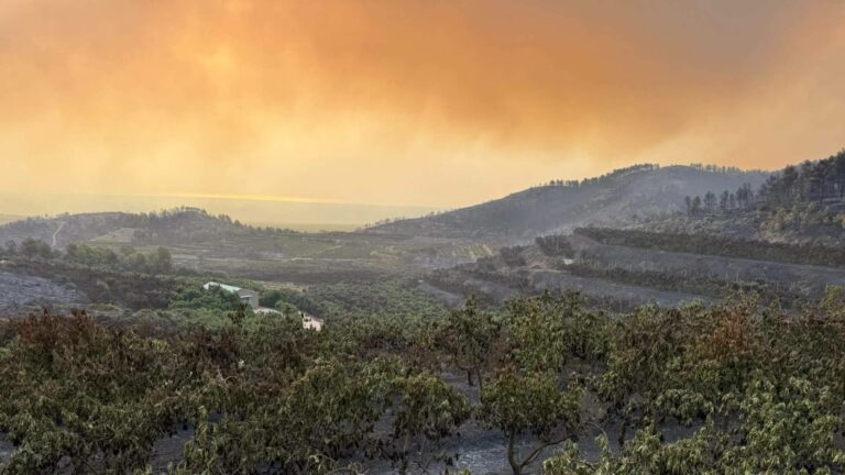 El incendio de Sierra de Espadán arrasa la finca de Tropitop y activa una campaña de recuperación