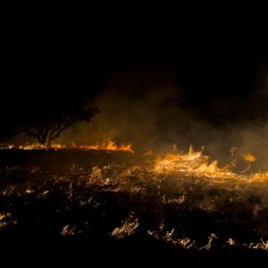 El fuego arrasa 15.842 hectáreas de cultivo aseguradas en lo que va de año