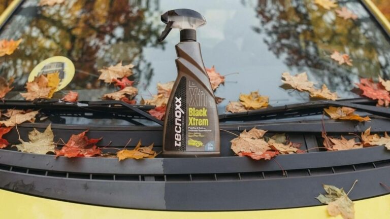 Así cambia el cuidado del coche en otoño; del antiinsectos al restaurador de plásticos, según Tecnoxx