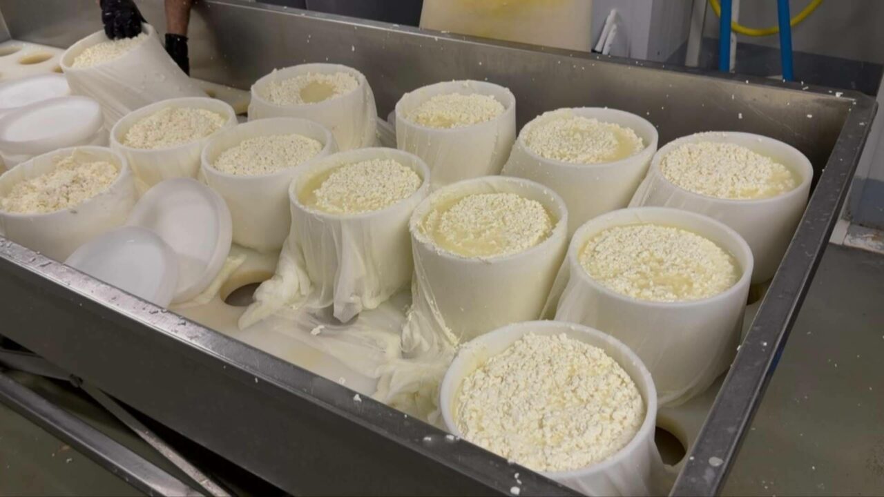 LACTOVALOR abre nuevas vías para transformar los subproductos agroalimentarios en recursos de valor