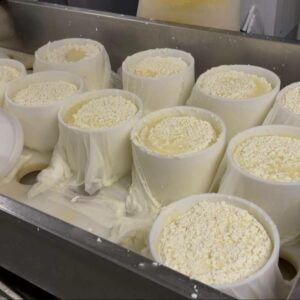 LACTOVALOR abre nuevas vías para transformar los subproductos agroalimentarios en recursos de valor