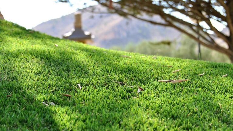¿Por qué septiembre es un buen momento para instalar césped artificial en tu jardín?