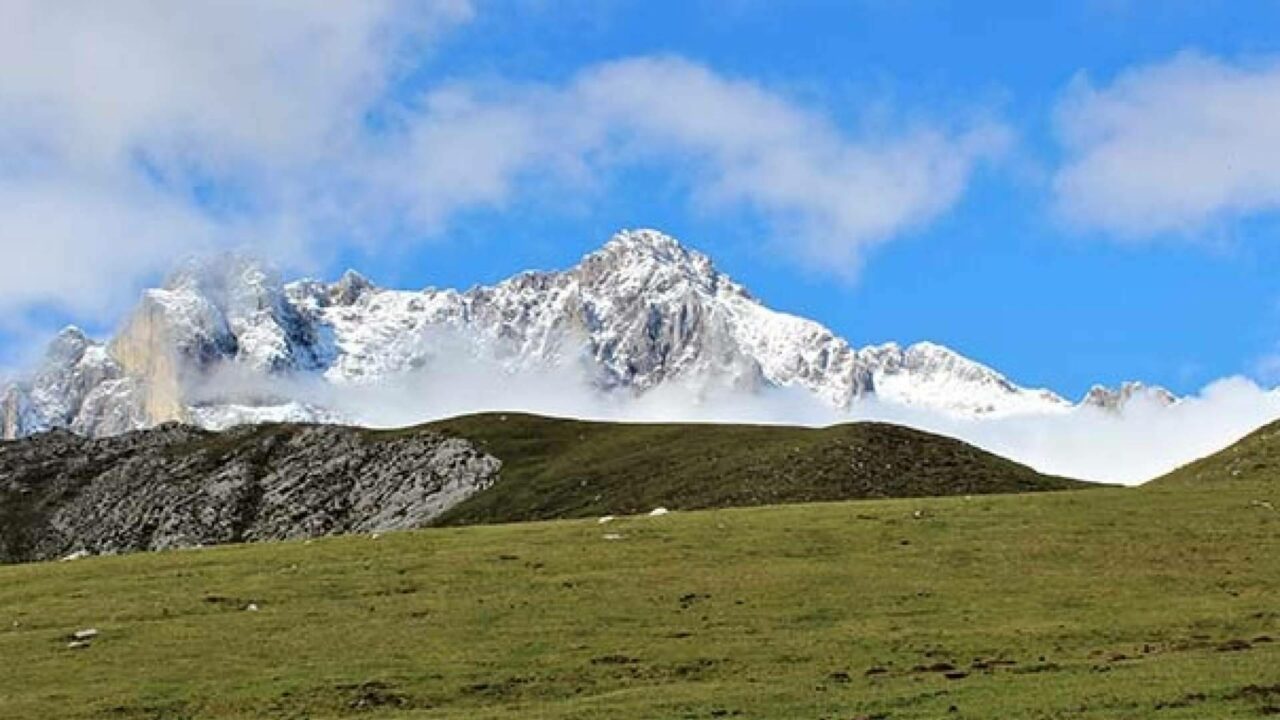 Ayudar a la naturaleza merece un premio; ¿Se sabe cuál es?